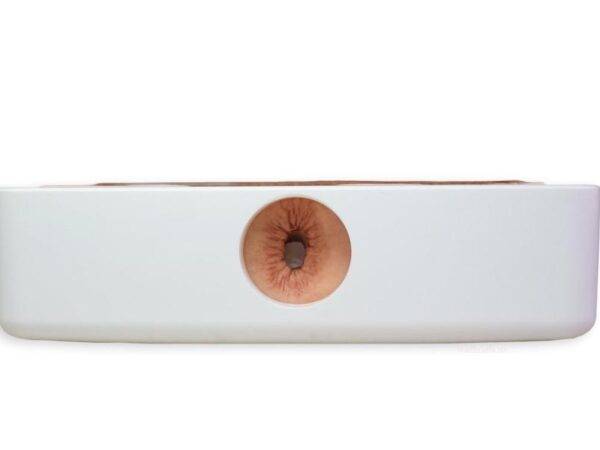 Das „Rahmenmodell Enddarm-Simulator“ von MEDICAL FX Germany ist ein hochwertiges, realistisches Trainingsmodell, das speziell für medizinische Schulungen und Übungen entwickelt wu…