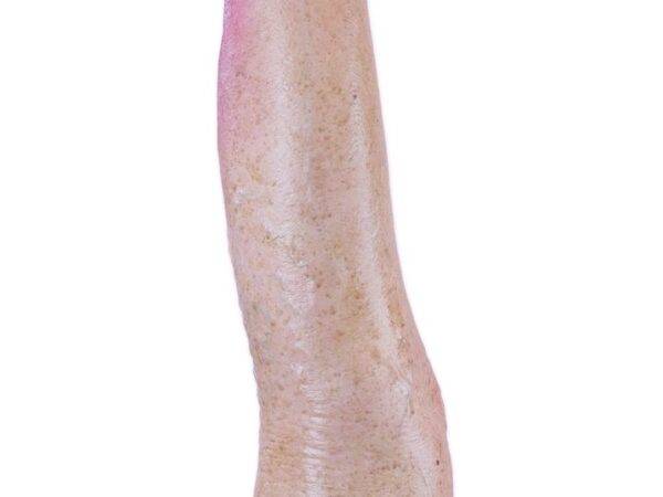 Das „Sockelmodell Bein mit 7 tiefen Wunden" von MEDICAL FX Germany ist ein exzellentes Lehr- und Übungsinstrument für medizinisches Fachpersonal, um ein breites Spektrum an Wundve…