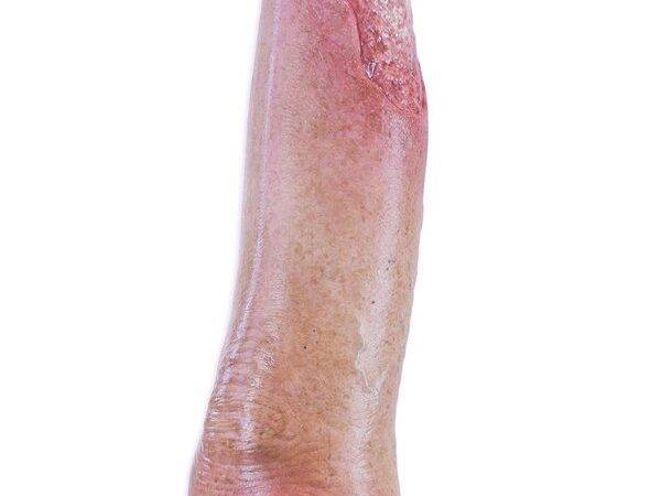 Das „Sockelmodell Bein mit 7 tiefen Wunden" von MEDICAL FX Germany ist ein exzellentes Lehr- und Übungsinstrument für medizinisches Fachpersonal, um ein breites Spektrum an Wundve…