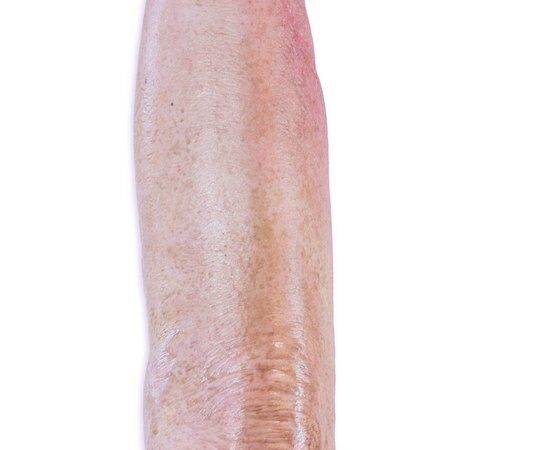 Das „Sockelmodell Bein mit 7 tiefen Wunden" von MEDICAL FX Germany ist ein exzellentes Lehr- und Übungsinstrument für medizinisches Fachpersonal, um ein breites Spektrum an Wundve…