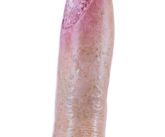 Das „Sockelmodell Bein mit 7 tiefen Wunden" von MEDICAL FX Germany ist ein exzellentes Lehr- und Übungsinstrument für medizinisches Fachpersonal, um ein breites Spektrum an Wundve…