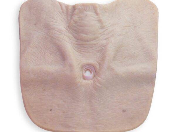 Das „Stick-On Large Tracheostoma"-Modell von MEDICAL FX Germany simuliert realistisch einen Luftröhrenschnitt und besteht aus hochwertigem Silikon. Konzipiert zur Befestigung an L…