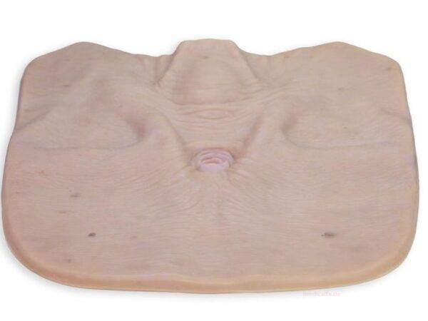 Das „Stick-On Large Tracheostoma"-Modell von MEDICAL FX Germany simuliert realistisch einen Luftröhrenschnitt und besteht aus hochwertigem Silikon. Konzipiert zur Befestigung an L…