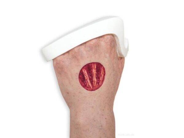 Das „Sockelmodell Arm mit offenliegenden Sehnen" von MEDICAL FX Germany ist eine anatomische Darstellung, die speziell zur Visualisierung der komplexen Sehnenstrukturen des mensch…