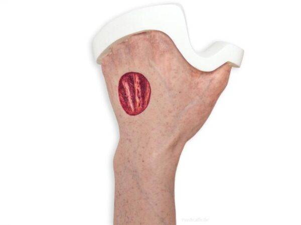 Das „Sockelmodell Arm mit offenliegenden Sehnen" von MEDICAL FX Germany ist eine anatomische Darstellung, die speziell zur Visualisierung der komplexen Sehnenstrukturen des mensch…