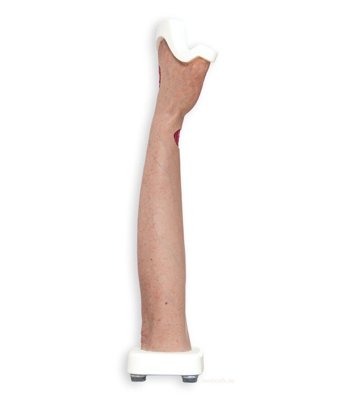 Das „Sockelmodell Arm mit offenliegenden Sehnen" von MEDICAL FX Germany ist eine anatomische Darstellung, die speziell zur Visualisierung der komplexen Sehnenstrukturen des mensch…