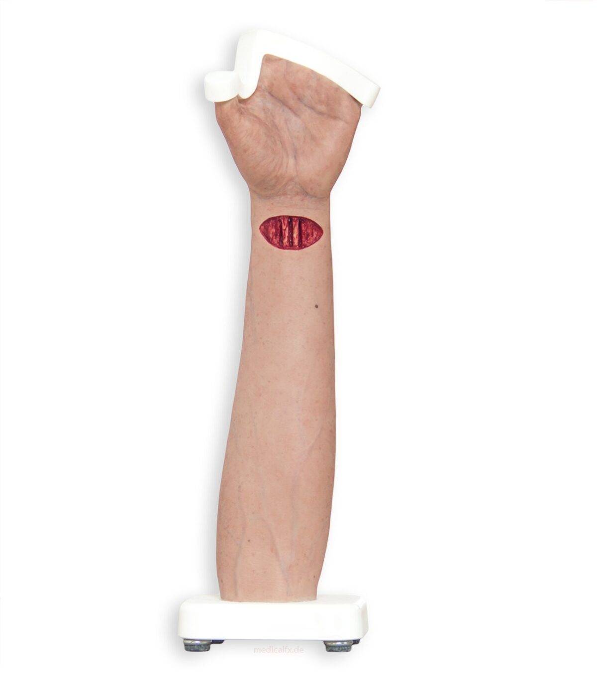 Das „Sockelmodell Arm mit offenliegenden Sehnen" von MEDICAL FX Germany ist eine anatomische Darstellung, die speziell zur Visualisierung der komplexen Sehnenstrukturen des mensch…