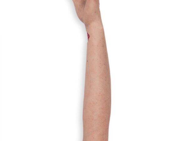 Das „Sockelmodell Arm mit offenliegenden Sehnen" von MEDICAL FX Germany ist eine anatomische Darstellung, die speziell zur Visualisierung der komplexen Sehnenstrukturen des mensch…