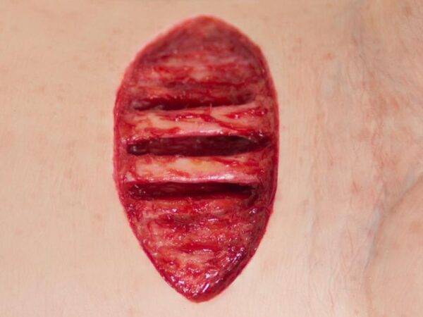 Das „Sockelmodell Arm mit offenliegenden Sehnen" von MEDICAL FX Germany ist eine anatomische Darstellung, die speziell zur Visualisierung der komplexen Sehnenstrukturen des mensch…