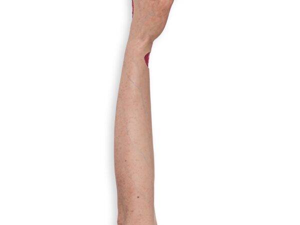 Das „Sockelmodell Arm mit offenliegenden Sehnen" von MEDICAL FX Germany ist eine anatomische Darstellung, die speziell zur Visualisierung der komplexen Sehnenstrukturen des mensch…