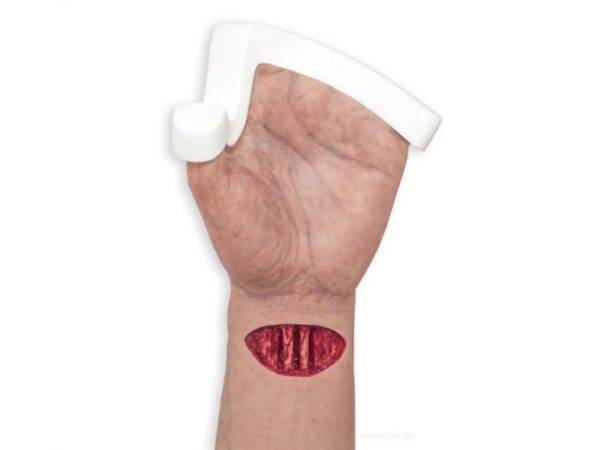 Das „Sockelmodell Arm mit offenliegenden Sehnen" von MEDICAL FX Germany ist eine anatomische Darstellung, die speziell zur Visualisierung der komplexen Sehnenstrukturen des mensch…