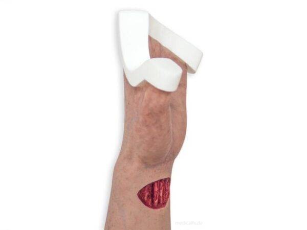 Das „Sockelmodell Arm mit offenliegenden Sehnen" von MEDICAL FX Germany ist eine anatomische Darstellung, die speziell zur Visualisierung der komplexen Sehnenstrukturen des mensch…
