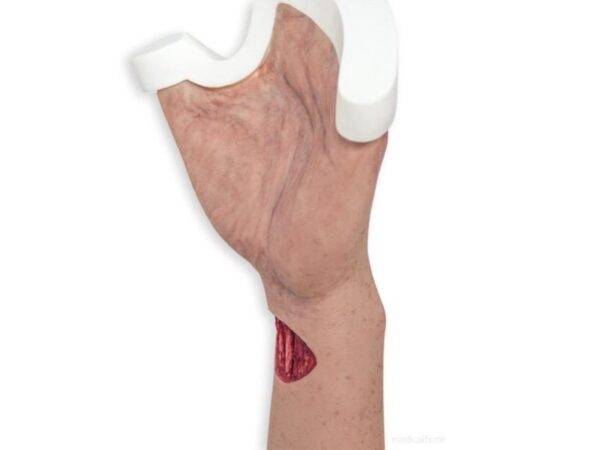 Das „Sockelmodell Arm mit offenliegenden Sehnen" von MEDICAL FX Germany ist eine anatomische Darstellung, die speziell zur Visualisierung der komplexen Sehnenstrukturen des mensch…