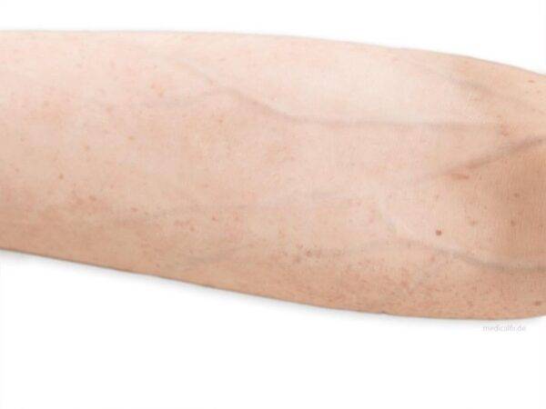 Das „Sockelmodell Arm mit offenliegenden Sehnen" von MEDICAL FX Germany ist eine anatomische Darstellung, die speziell zur Visualisierung der komplexen Sehnenstrukturen des mensch…