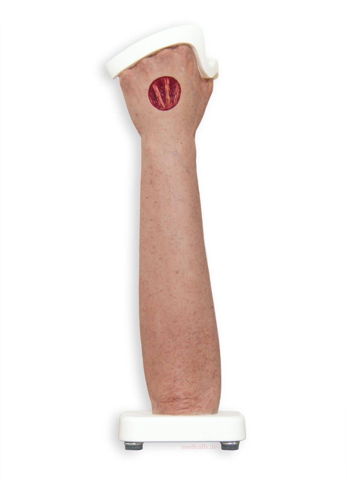 Das „Sockelmodell Arm mit offenliegenden Sehnen" von MEDICAL FX Germany ist eine anatomische Darstellung, die speziell zur Visualisierung der komplexen Sehnenstrukturen des mensch…