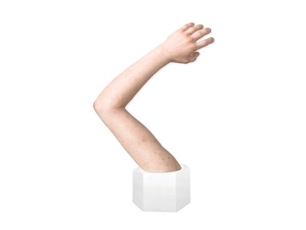 Das „Sockelmodell Arm ohne Wunden“ von MEDICAL FX Germany ist ein hochwertiges anatomisches Lehrmittel, das einen menschlichen Arm in naturgetreuer Nachbildung darstellt. Dieses M…
