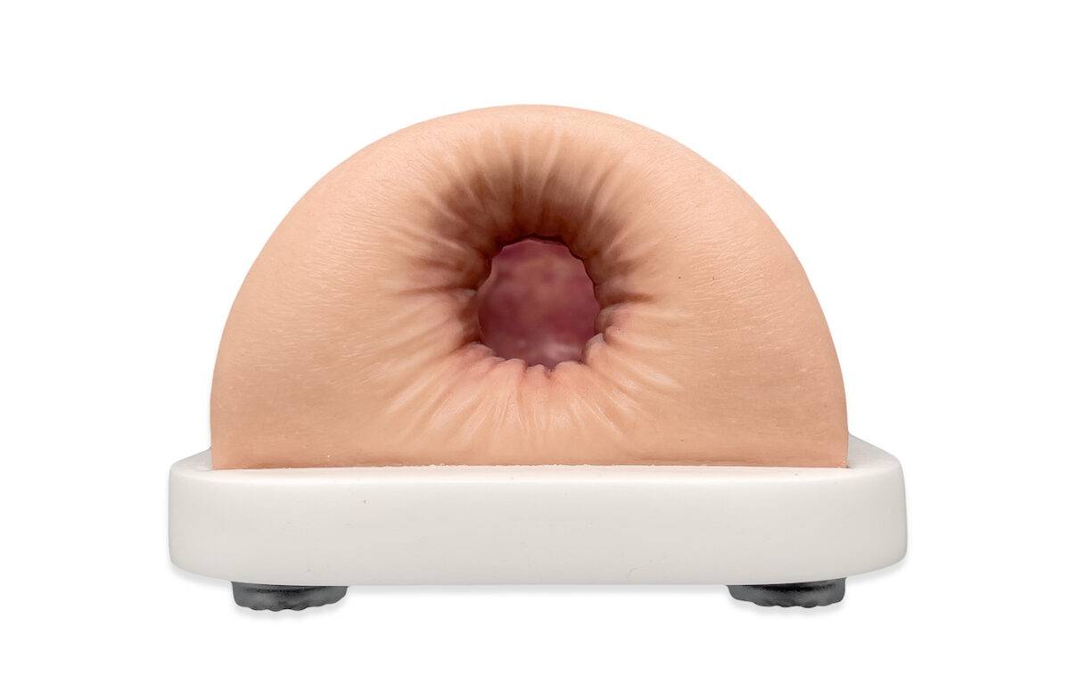 Das „Rahmenmodell Enddarm-Simulator Small" von MEDICAL FX Germany ist ein hochwertiges, realistisches Trainingsmodell, das speziell für medizinische Schulungen und Übungen entwick…