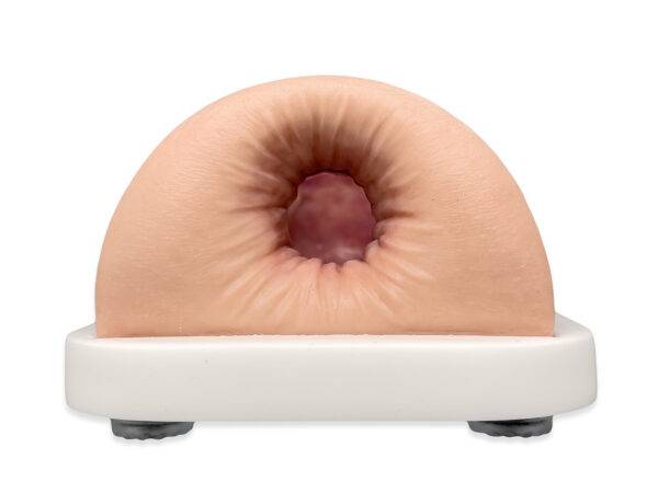 Das „Rahmenmodell Enddarm-Simulator Small" von MEDICAL FX Germany ist ein hochwertiges, realistisches Trainingsmodell, das speziell für medizinische Schulungen und Übungen entwick…