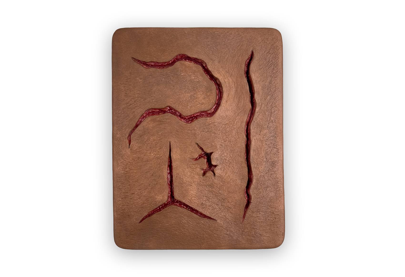 PAD 04 0068 00 3 Suture Pad Nahtsimulator Large Farbe 3 Kopie