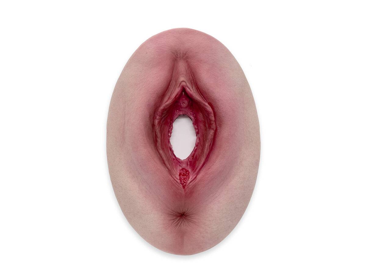 Das „Stick-On Medium Dammriss 1. Grades“-Modell von MEDICAL FX Germany ermöglicht eine realistische Darstellung eines Dammrisses 1. Grades. Aus hochwertigem Silikon gefertigt, übe…