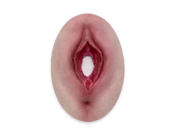 Das „Stick-On Medium Dammriss 1. Grades“-Modell von MEDICAL FX Germany ermöglicht eine realistische Darstellung eines Dammrisses 1. Grades. Aus hochwertigem Silikon gefertigt, übe…