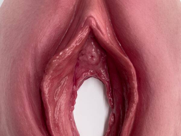 Das „Stick-On Medium Dammriss 1. Grades“-Modell von MEDICAL FX Germany ermöglicht eine realistische Darstellung eines Dammrisses 1. Grades. Aus hochwertigem Silikon gefertigt, übe…