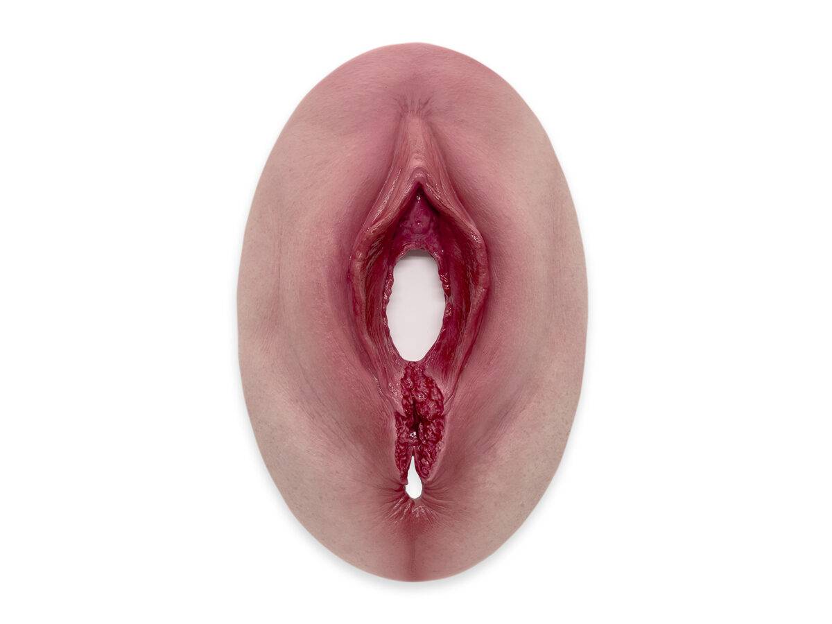 Das „Stick-On Medium Dammriss 4. Grades“-Modell von MEDICAL FX Germany stellt einen Dammriss 4. Grades äußerst realistisch dar. Aus hochwertigem, medizinischem Silikon gefertigt,…