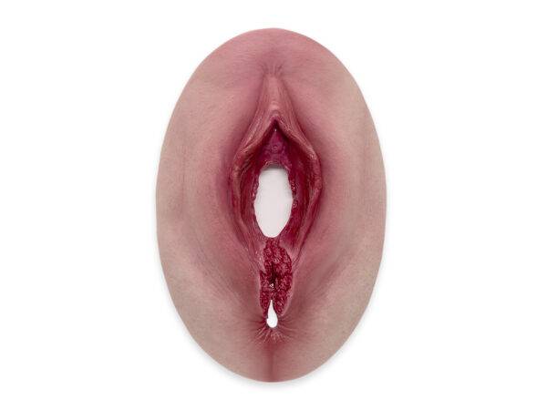 Das „Stick-On Medium Dammriss 4. Grades“-Modell von MEDICAL FX Germany stellt einen Dammriss 4. Grades äußerst realistisch dar. Aus hochwertigem, medizinischem Silikon gefertigt,…