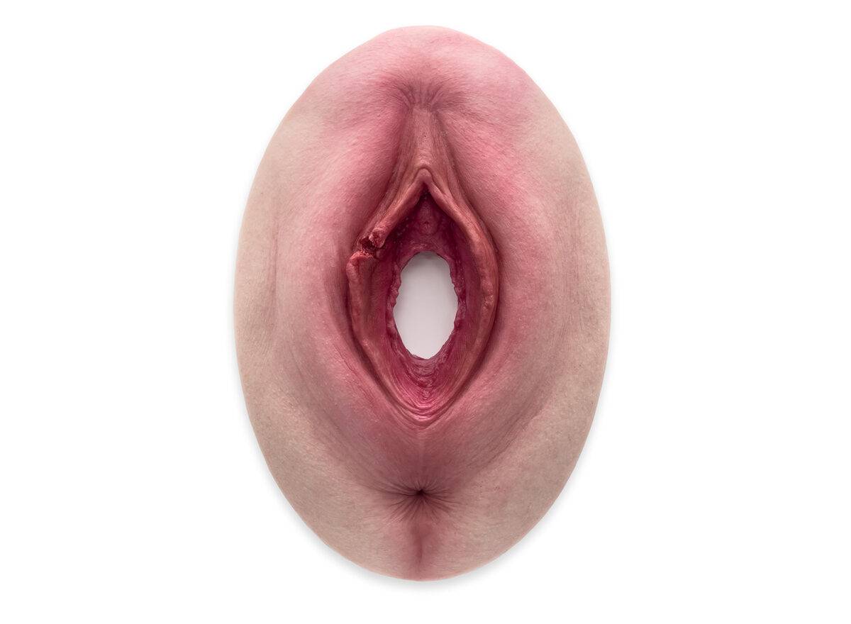 Das „Stick-On Medium Labienriss“-Modell von MEDICAL FX Germany ermöglicht eine realistische Darstellung eines Labienrisses. Gefertigt aus hochwertigem Silikon, bietet es eine natu…