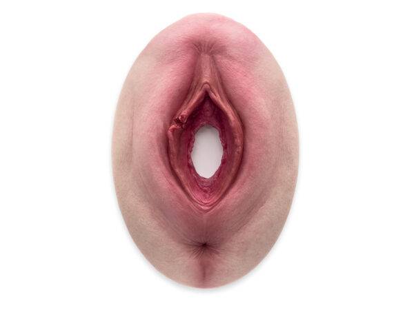 Das „Stick-On Medium Labienriss“-Modell von MEDICAL FX Germany ermöglicht eine realistische Darstellung eines Labienrisses. Gefertigt aus hochwertigem Silikon, bietet es eine natu…