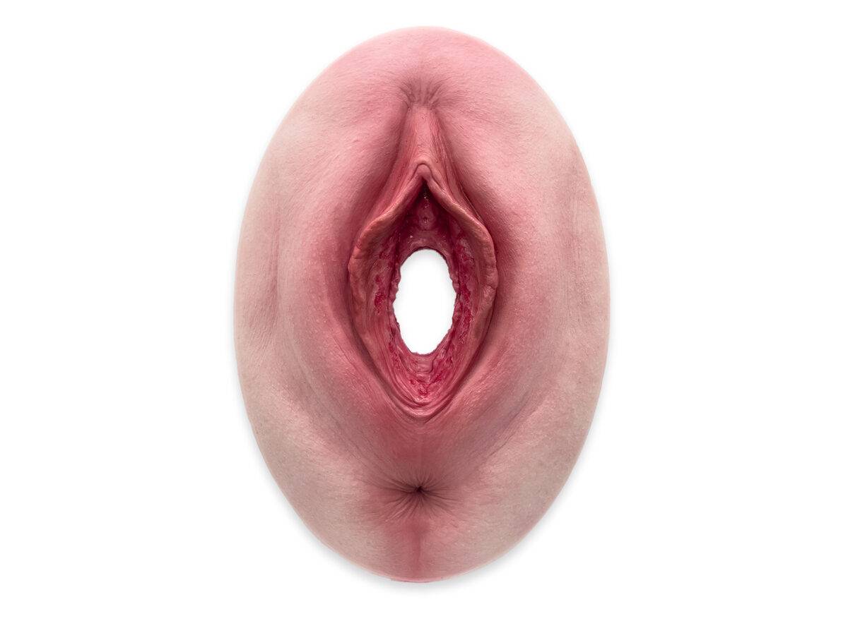 Das „Stick-On Medium Labienschürfung“-Modell von MEDICAL FX Germany bietet eine realistische Darstellung einer Labienschürfung. Hergestellt aus hochwertigem, medizinischem Silikon…