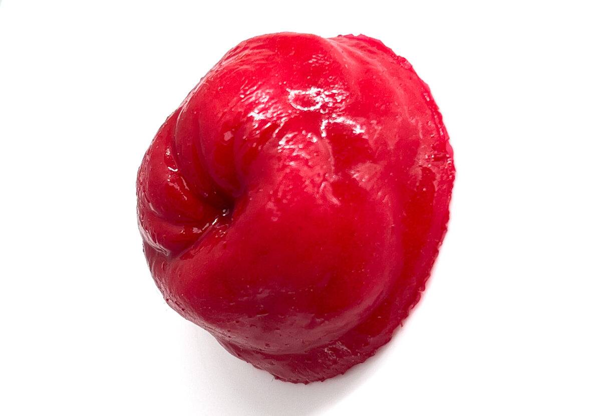 Das Modell „Sticket Stomaausbuchtung“ von MEDICAL FX Germany ist ein detailgetreuer Nachbau eines Stoma-Ausgangs. Das Modell haftet ohne zusätzlichen Klebstoff auf glatten Oberflä…