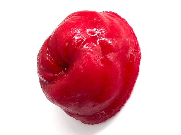 Das Modell „Sticket Stomaausbuchtung“ von MEDICAL FX Germany ist ein detailgetreuer Nachbau eines Stoma-Ausgangs. Das Modell haftet ohne zusätzlichen Klebstoff auf glatten Oberflä…