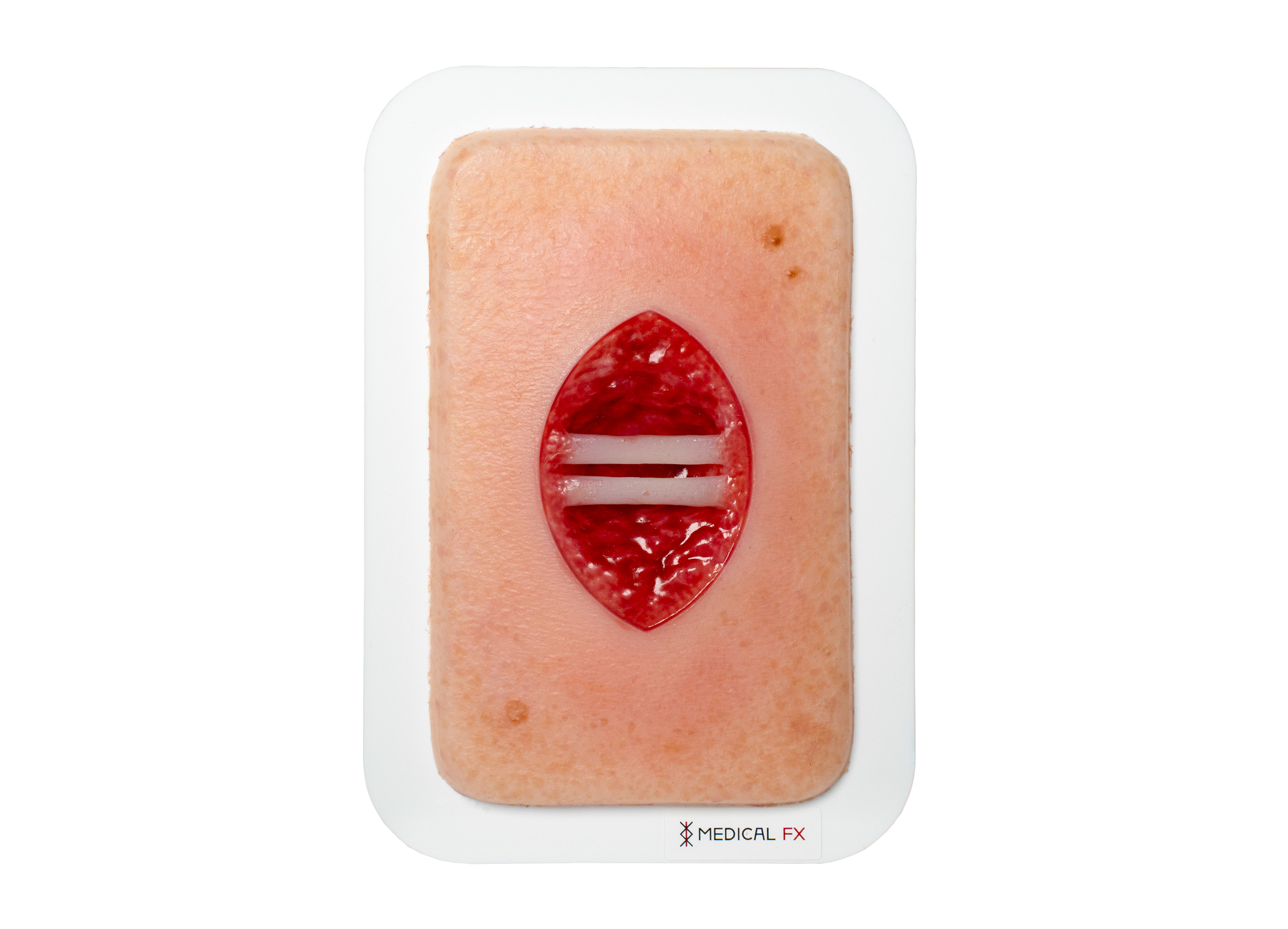 Pocketwound 腱露出手術創モデル - Image 1
