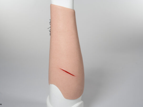 Sleeve Arm with 3 wounds - Image 4