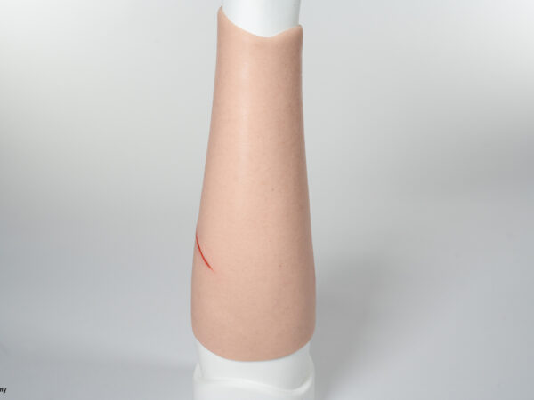 Sleeve Arm with 3 wounds - Image 5