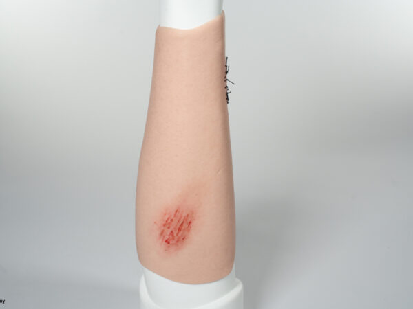 Sleeve Arm with 3 wounds - Image 9