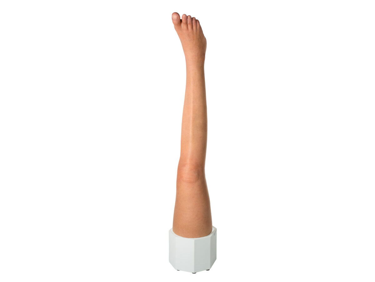 Sockelmodell Bein ohne Wunden