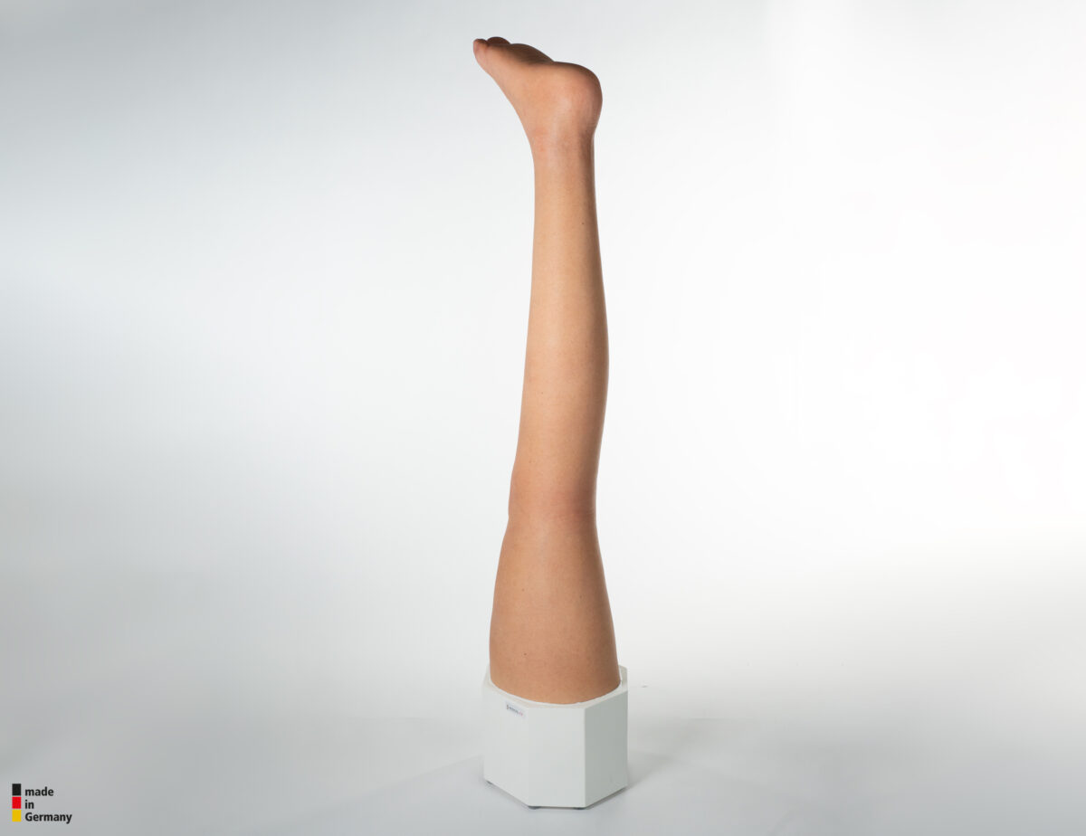 Sockelmodell Bein ohne Wunden