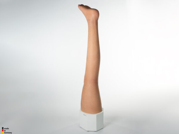 Sockelmodell Bein ohne Wunden – Bild 7
