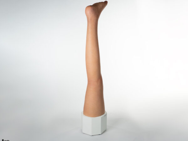 Sockelmodell Bein ohne Wunden – Bild 8