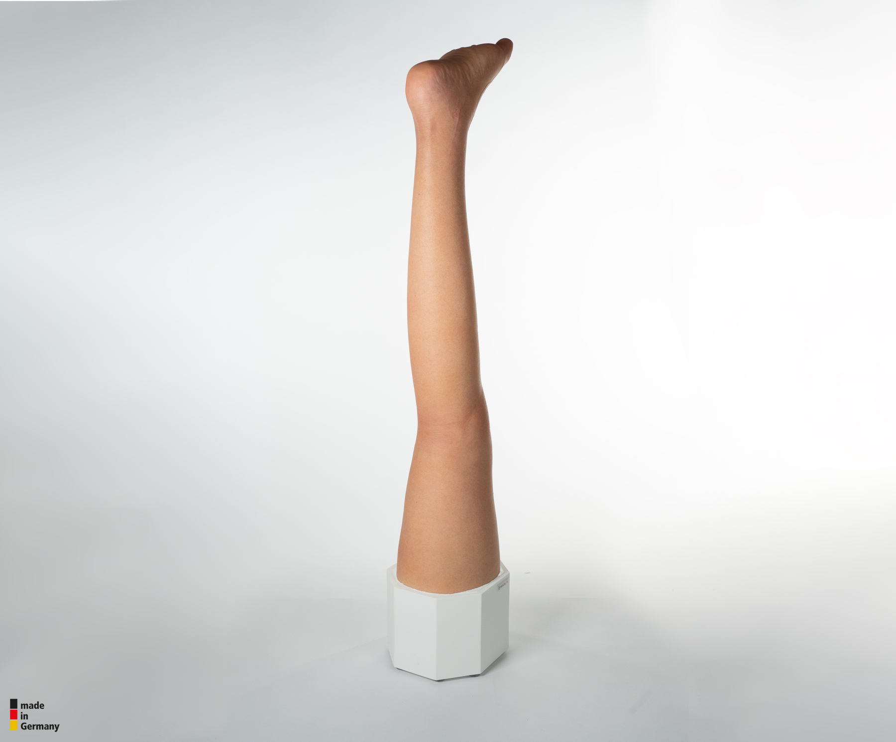 Sockelmodell Bein ohne Wunden – Bild 8