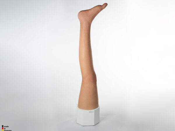 Sockelmodell Bein ohne Wunden – Bild 9