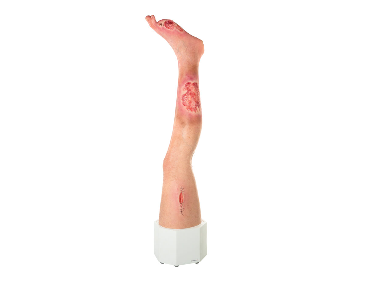 Sockelmodell Bein mit 7 flachen Wunden