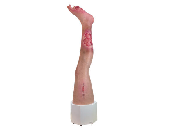 Sockelmodell Bein mit 7 flachen Wunden