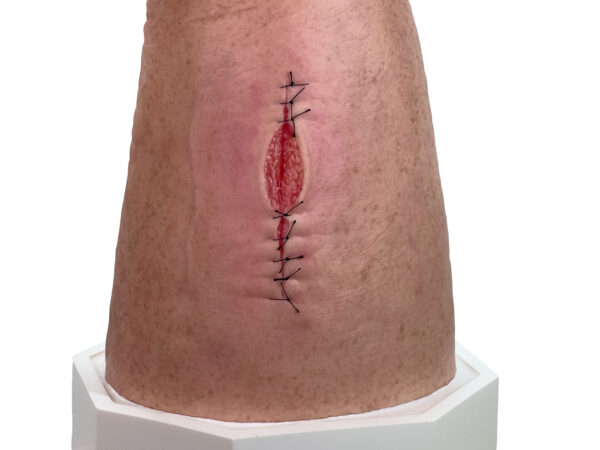 Base Model Pierna con 7 Heridas Superficiales - Image 6