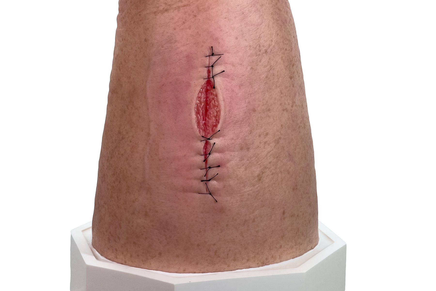 Base Model Pierna con 7 Heridas Superficiales - Image 6