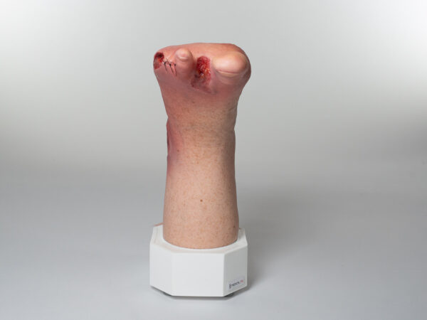 Base Model 6개의 상처가 있는 두 발가락 발 - Image 4