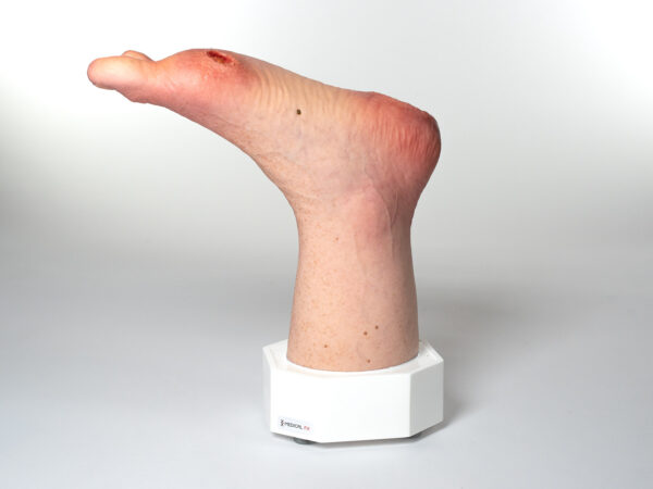 Base Model 6개의 상처가 있는 두 발가락 발 - Image 3