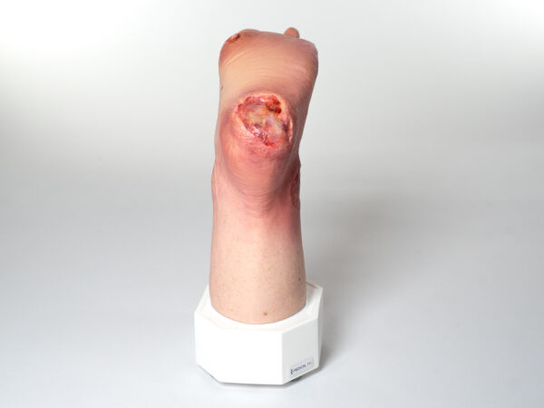 Base Model 6개의 상처가 있는 두 발가락 발 - Image 6